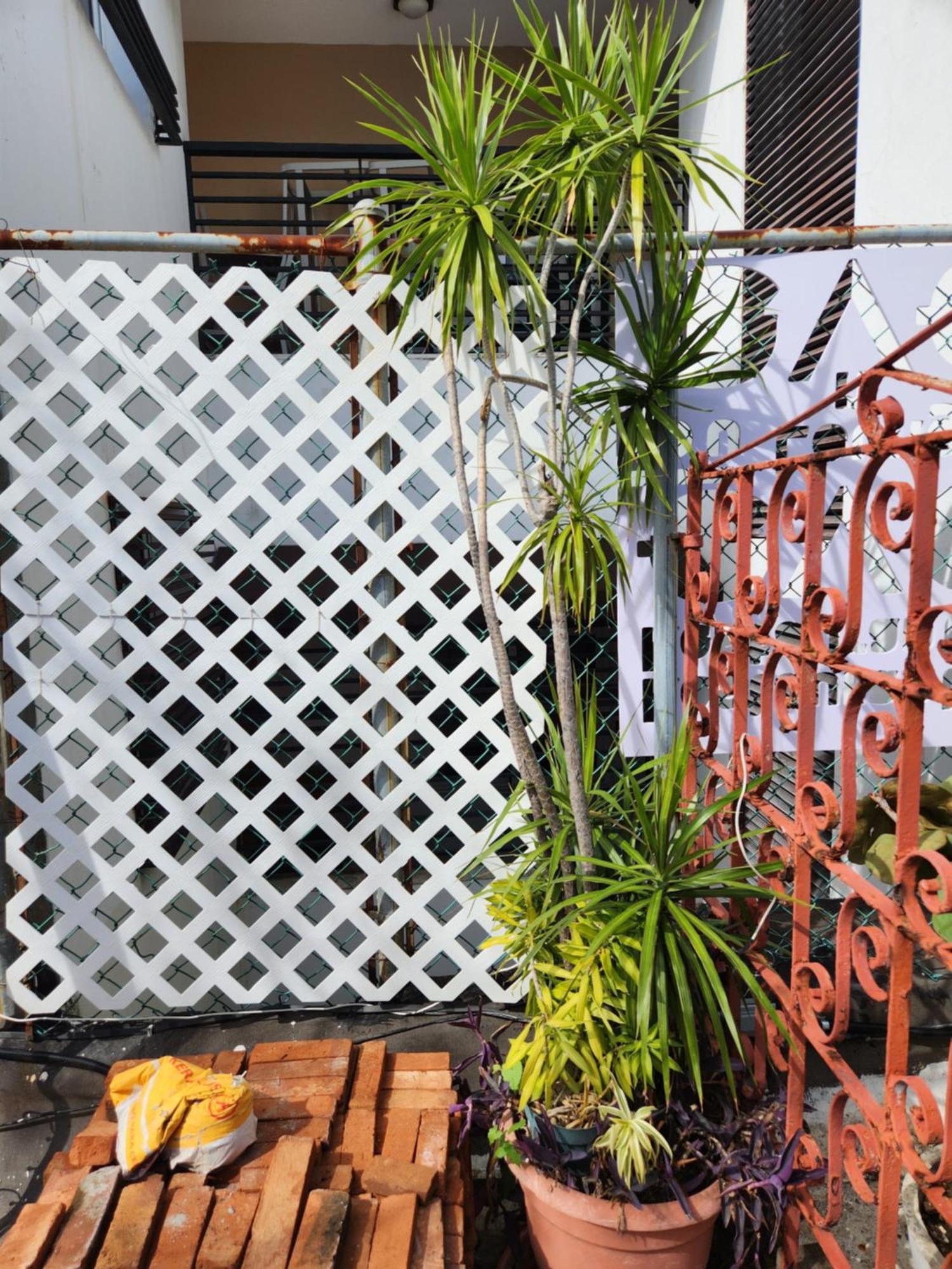 Fabulous Rooftop 2 Colonial Room For 4 聖多明哥 客房 照片